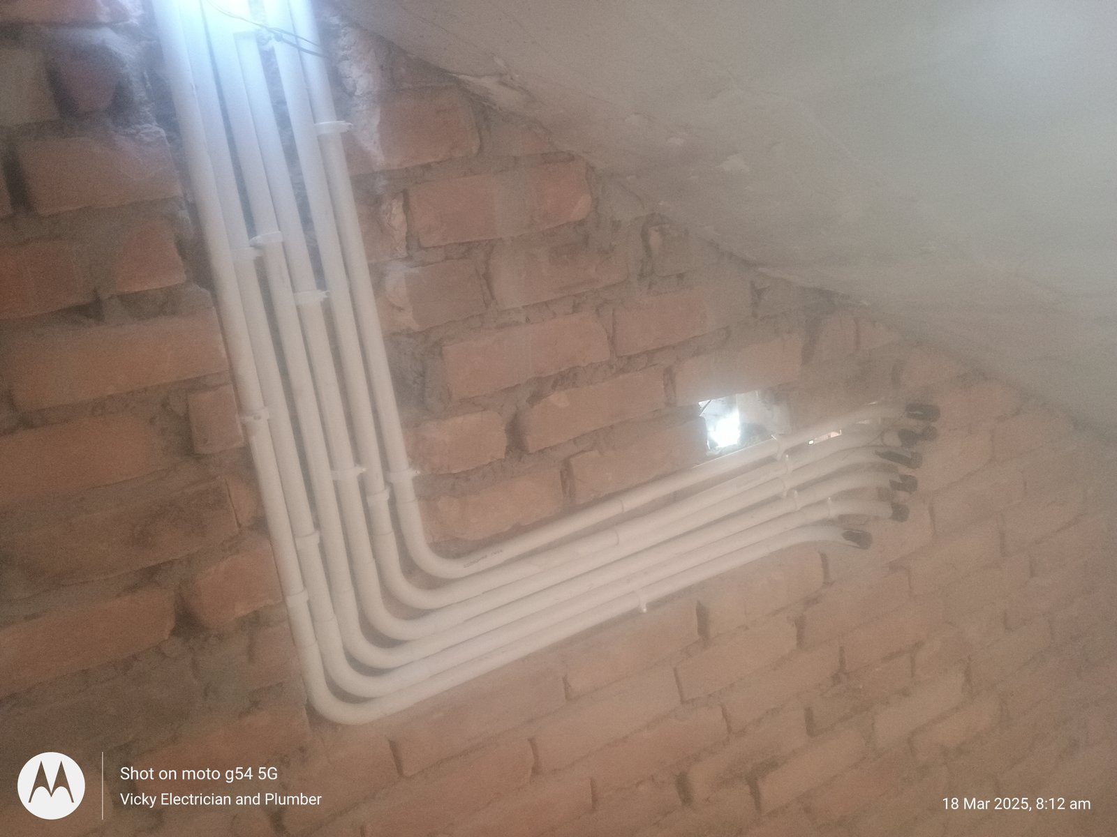 Vicky Working Images